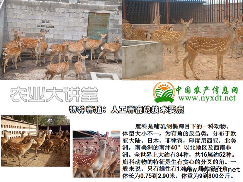 铅山县农业科技:绿色崛起的新篇章