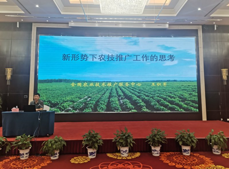 农业科技开发：引领农业现代化的新引擎