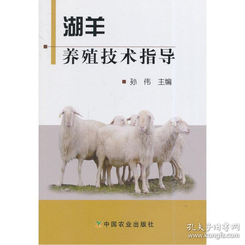 农业技术咨询：农业科技发展的新风向
